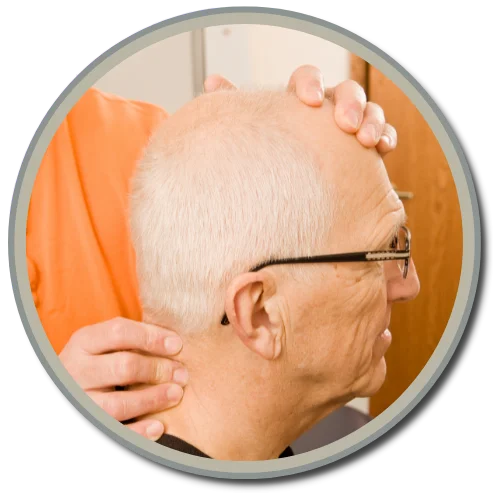 Gonstead Visualization